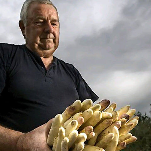 Monjardín Conserva vegetal Espárragos blancos extra eco 370 ml. carne